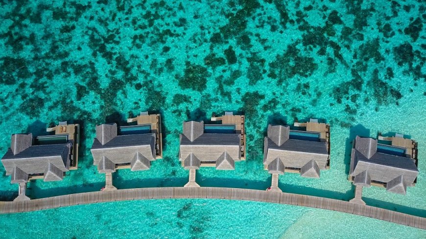 How much money will be spent in Maldives and how to reach, as well as all the information related to visa will be available here, just start planning to visit