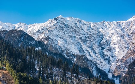 The Ultimate Adventure: Trekking the Majestic Himalayas