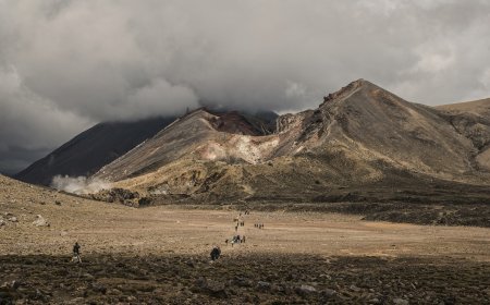 A Walk in Paradise: Exploring the Breathtaking Landscapes of New Zealand