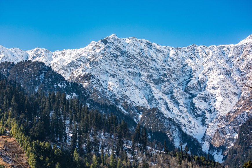The Ultimate Adventure: Trekking the Majestic Himalayas