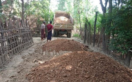 ဒေသဖွံ့ဖြိုးရေးအတွက် စေတနာအလှူ - ဇီးကျွန်းရွာ၊ ပေါက်ကုန်းအုပ်စု၊ ပွင့်ဖြူမြို့နယ်၊ မကွေးတိုင်းဒေသကြီး။