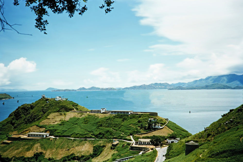 Hidden Hong Kong A history of local Hong Kong dairy farms Localiiz