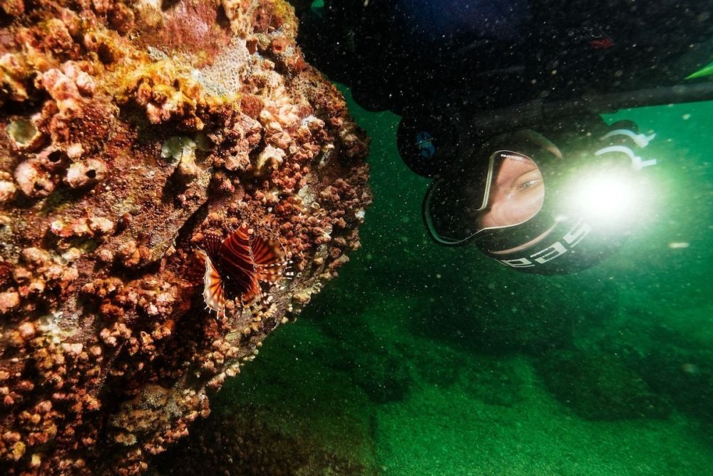 Under the Sea All you need to know about scuba diving in Hong Kong