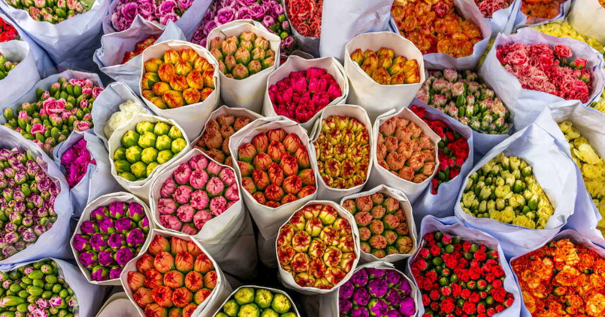 Your guide to Hong Kong’s unique speciality markets Localiiz