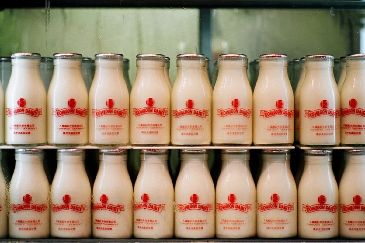 Hidden Hong Kong A history of local Hong Kong dairy farms Localiiz