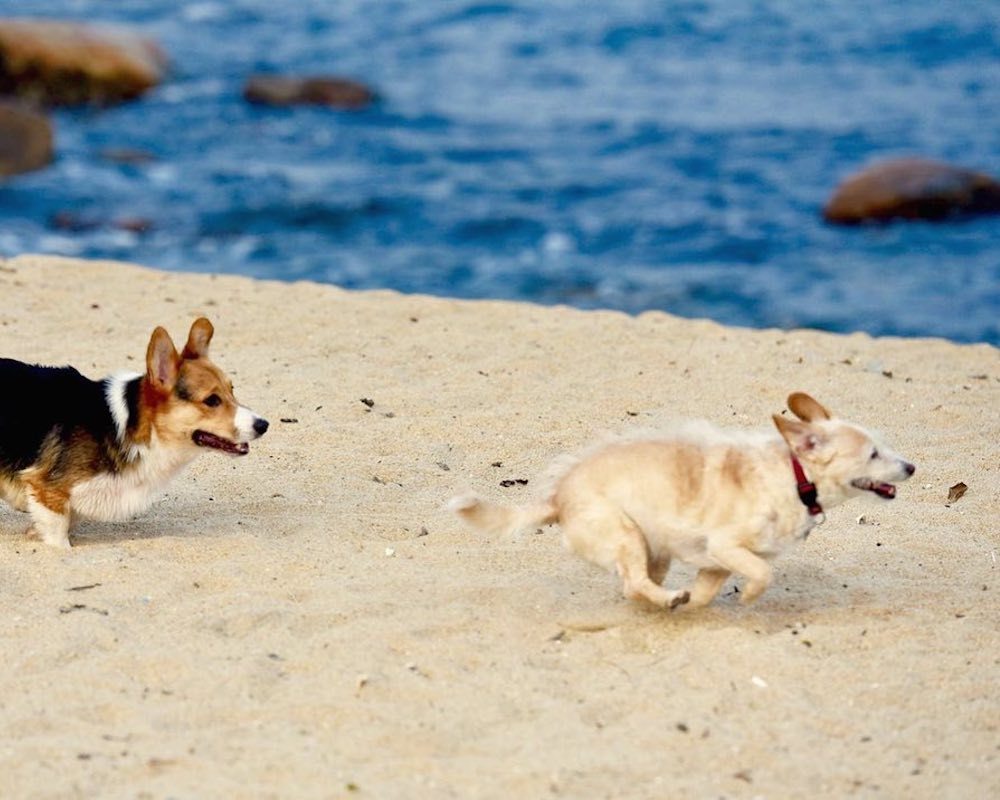 Things to do in Hong Kong this weekend Localiiz