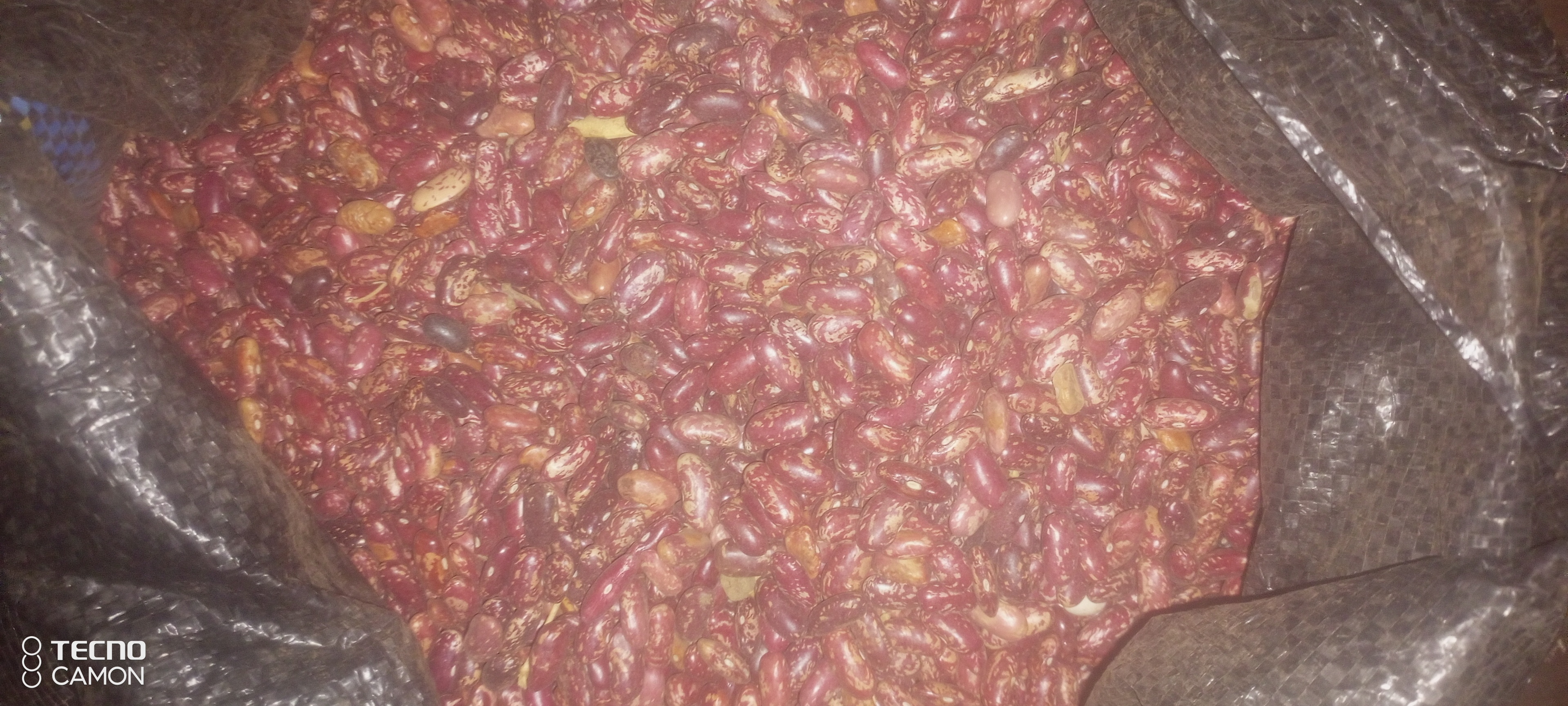 Agricultural products both dry and bulky