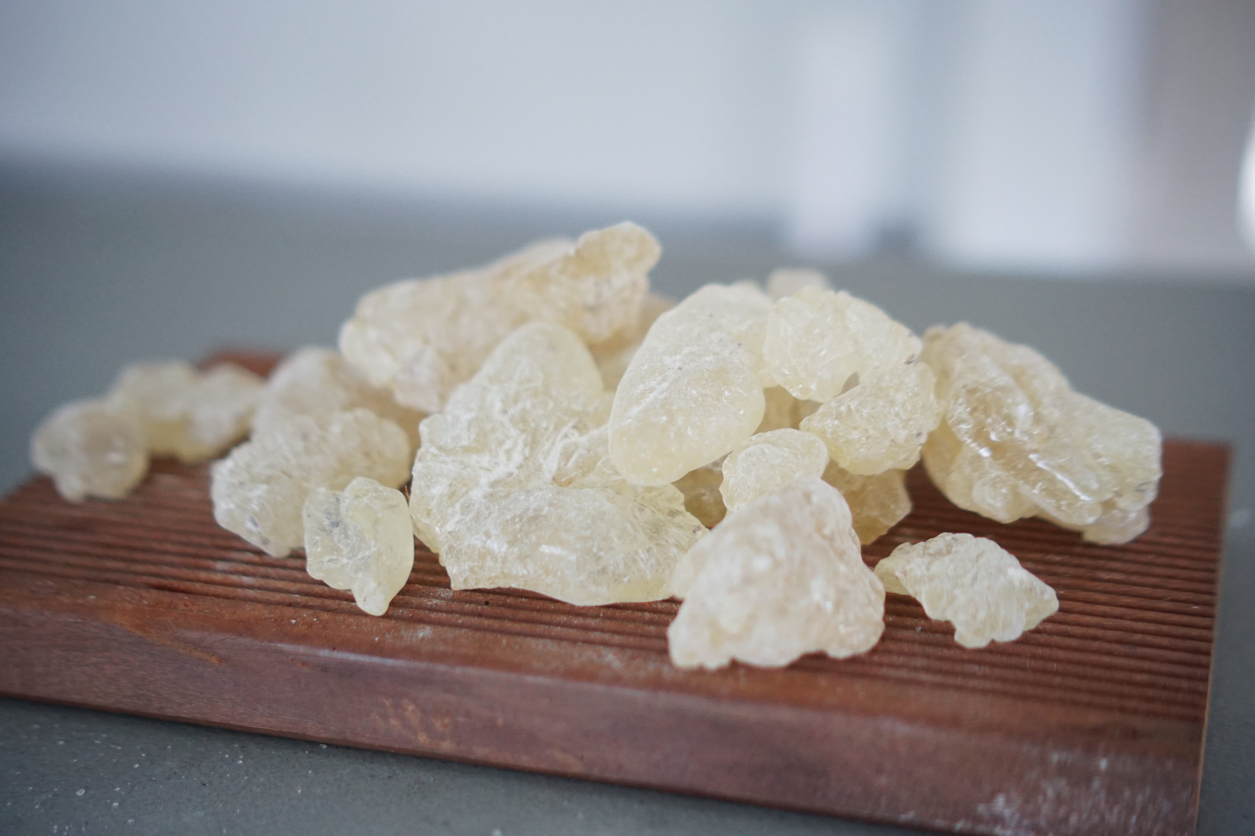 Hibiscus Flower image 2