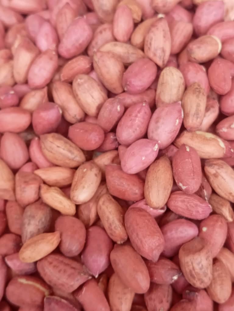 Hibiscus Flower image 6