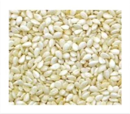 Sesame Seed - WHITE