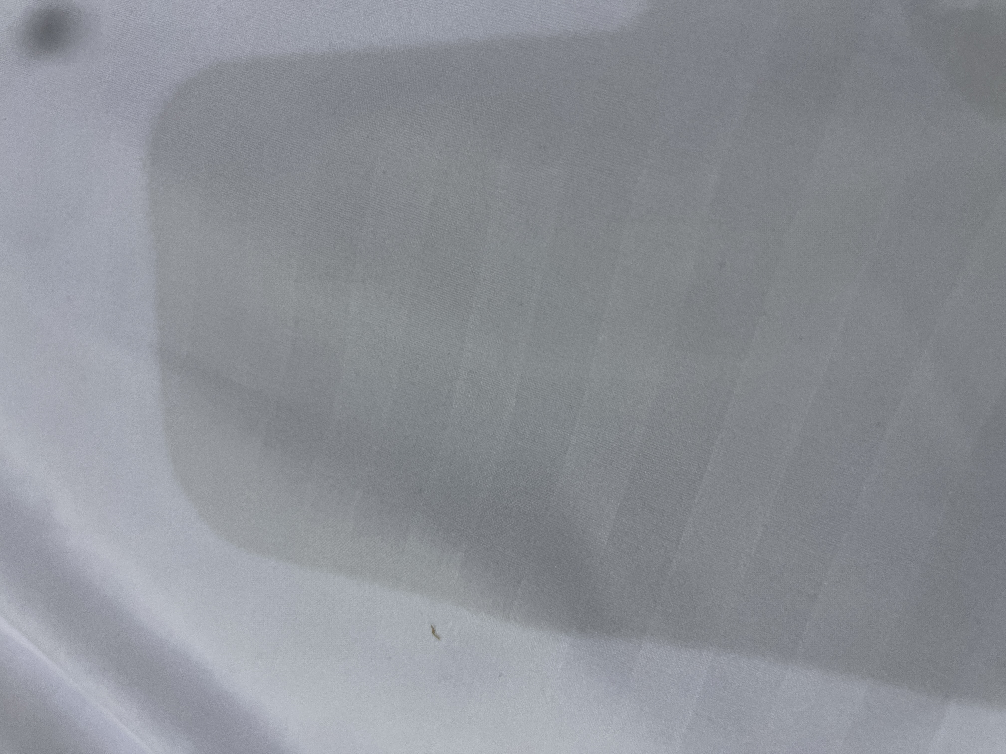 Accompagnement en maîtrise d’ouvrage