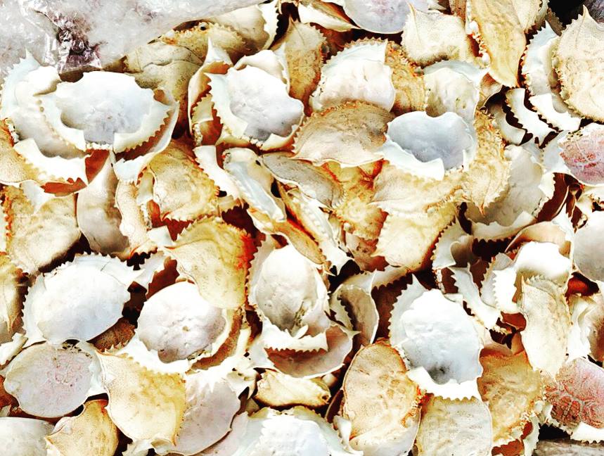 Dried Crab Shell
