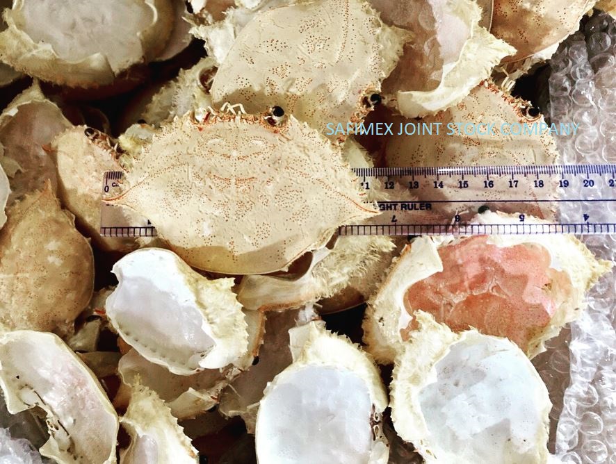 Dried Crab Shell image 2