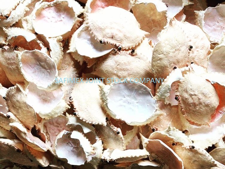 Dried Crab Shell image 3