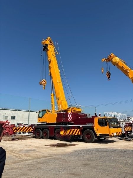 LIEBHERR  All-terrain-cranes  220 Ton image 3