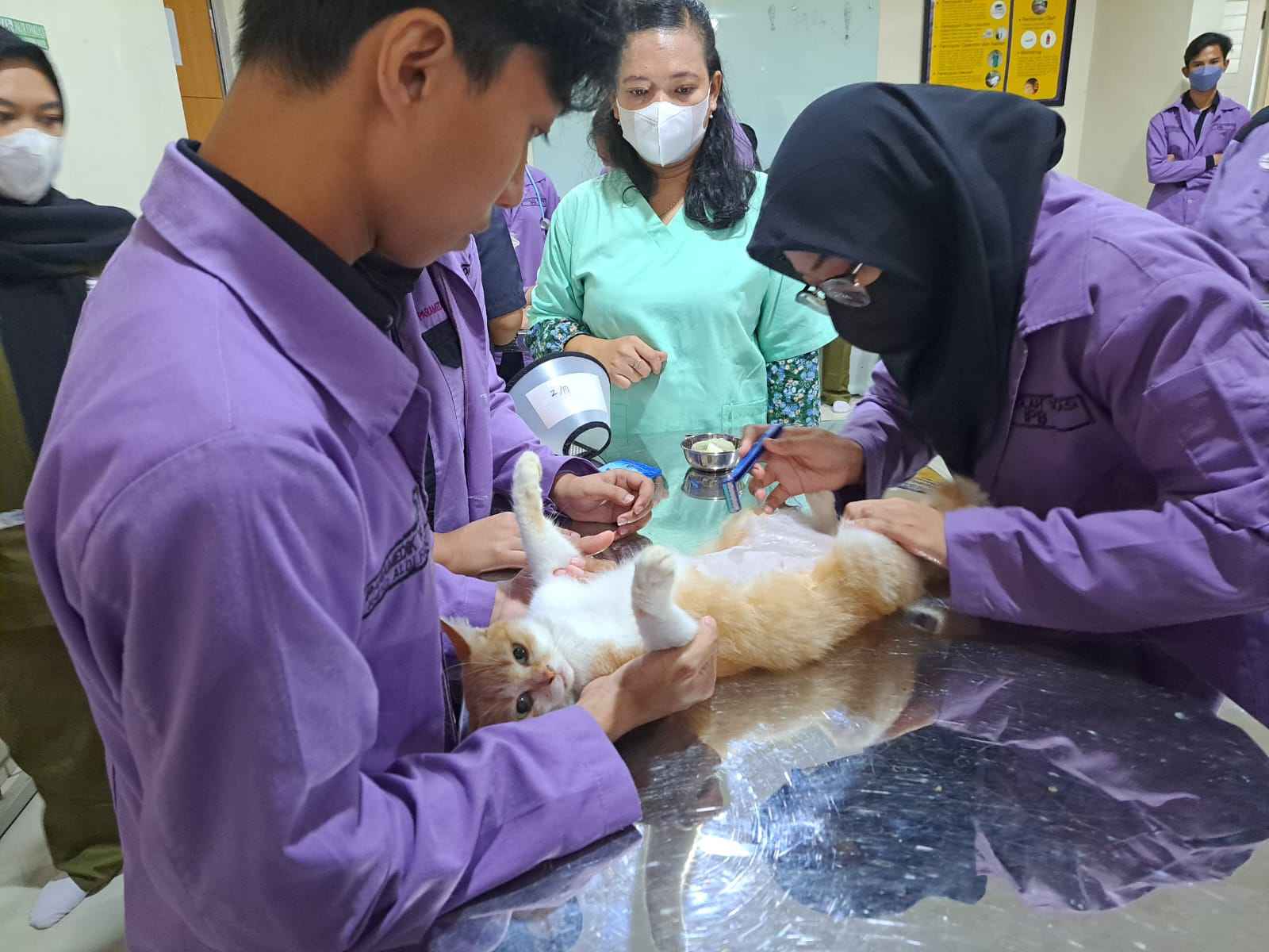 Veterinary Service