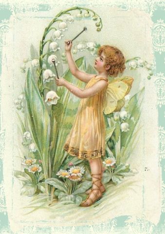 fairy