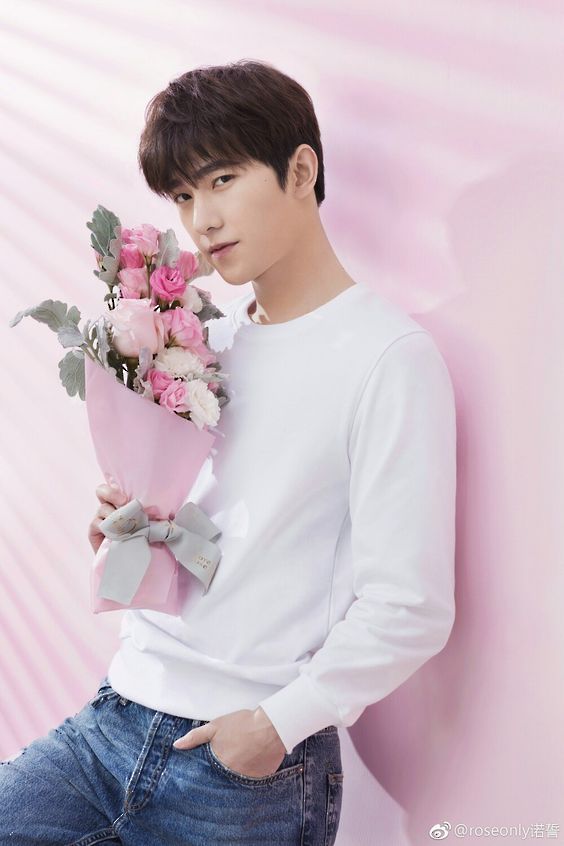 อิมเมจภาพโดย หยาง หยาง