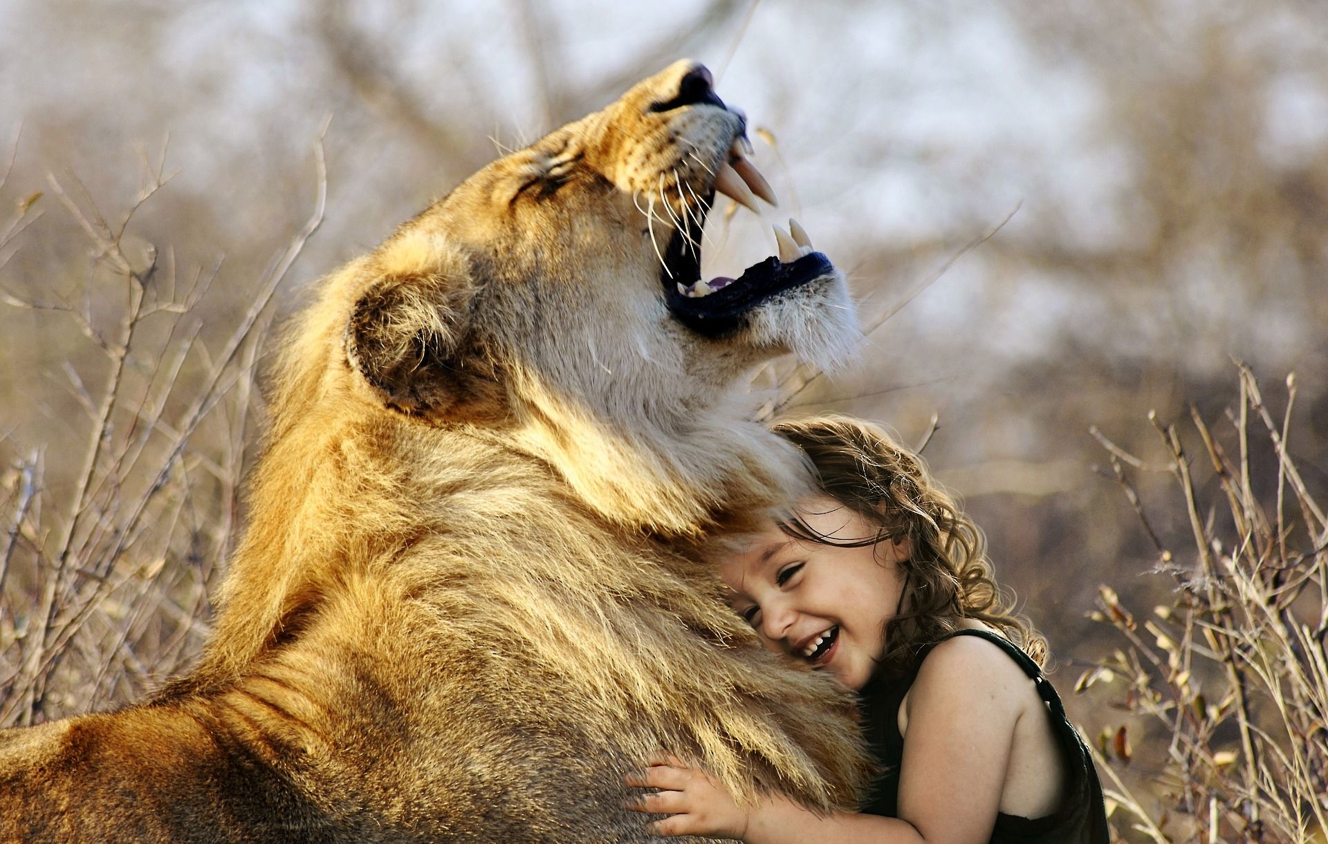 ภาพโดย Sarah Richter จาก Pixabay