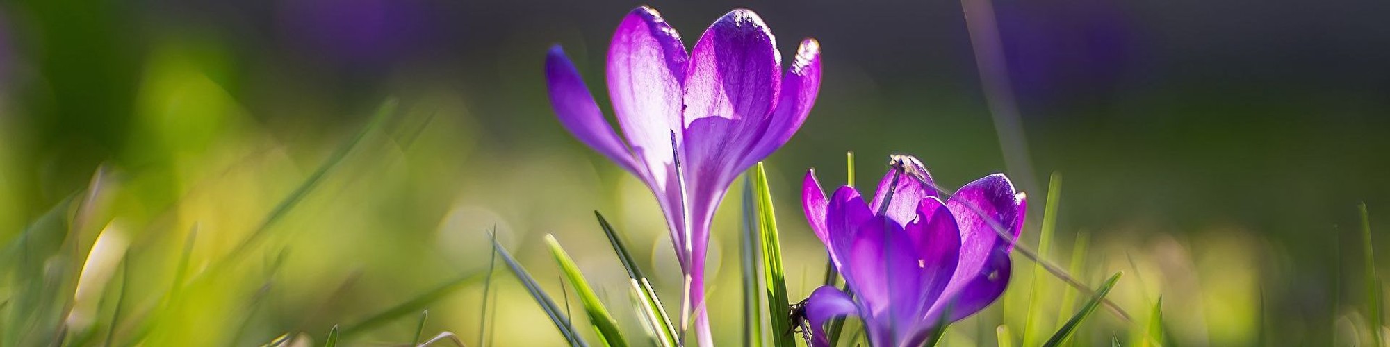 митинг в казахстане январь 2022. апрель кз. креативные афиши концертов. слот владивосток. январские события в казахстане.