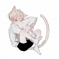แว่นตา