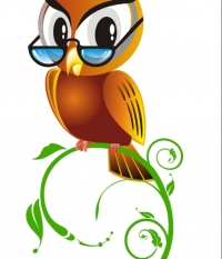 แว่นนกฮูก