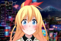 パッシデクサクルウォン