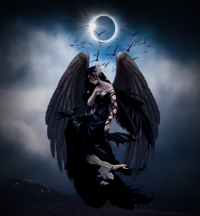 Angeldust
