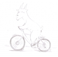 ชนุธนา แสนเหม