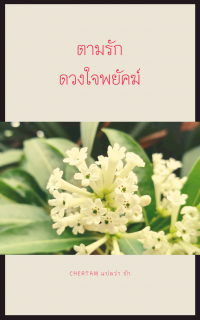 Chertam แปลว่า รัก