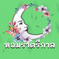 หอมราตรีกาล