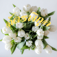 ฉัตรพิกุล