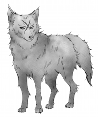 wolf 650