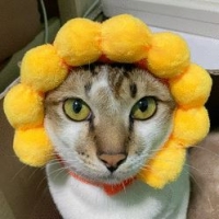 รัชภัค ภัคธนากุญช์