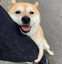 เรียกเราว่าคุมหม๋า