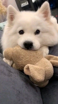 นัทเองจ่ะ