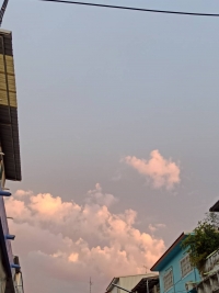 ลวดหนาม