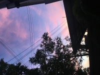 มอร์นิ่งสวีท