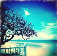 ลิงลมชมจันทร์วันฟูลมูน