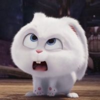 ภัทรธิชา