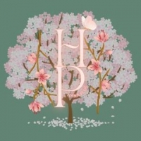 Hana_plus