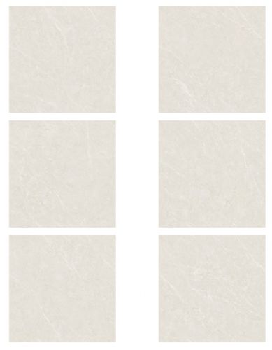 01-CH8840AS-X P - Lian Seng Hin - Singapore Tiles Company | Tiles
