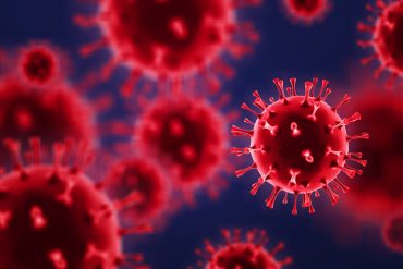 virus