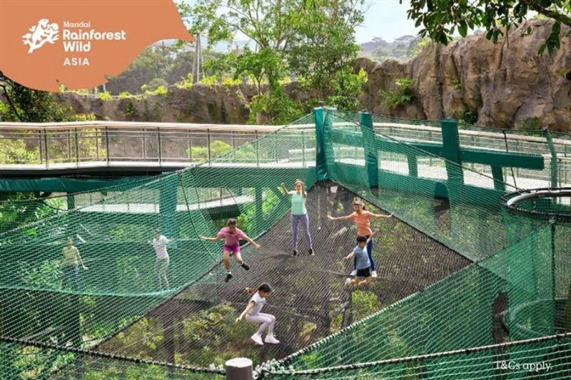 kids-bounce-free-no-caption-900x600