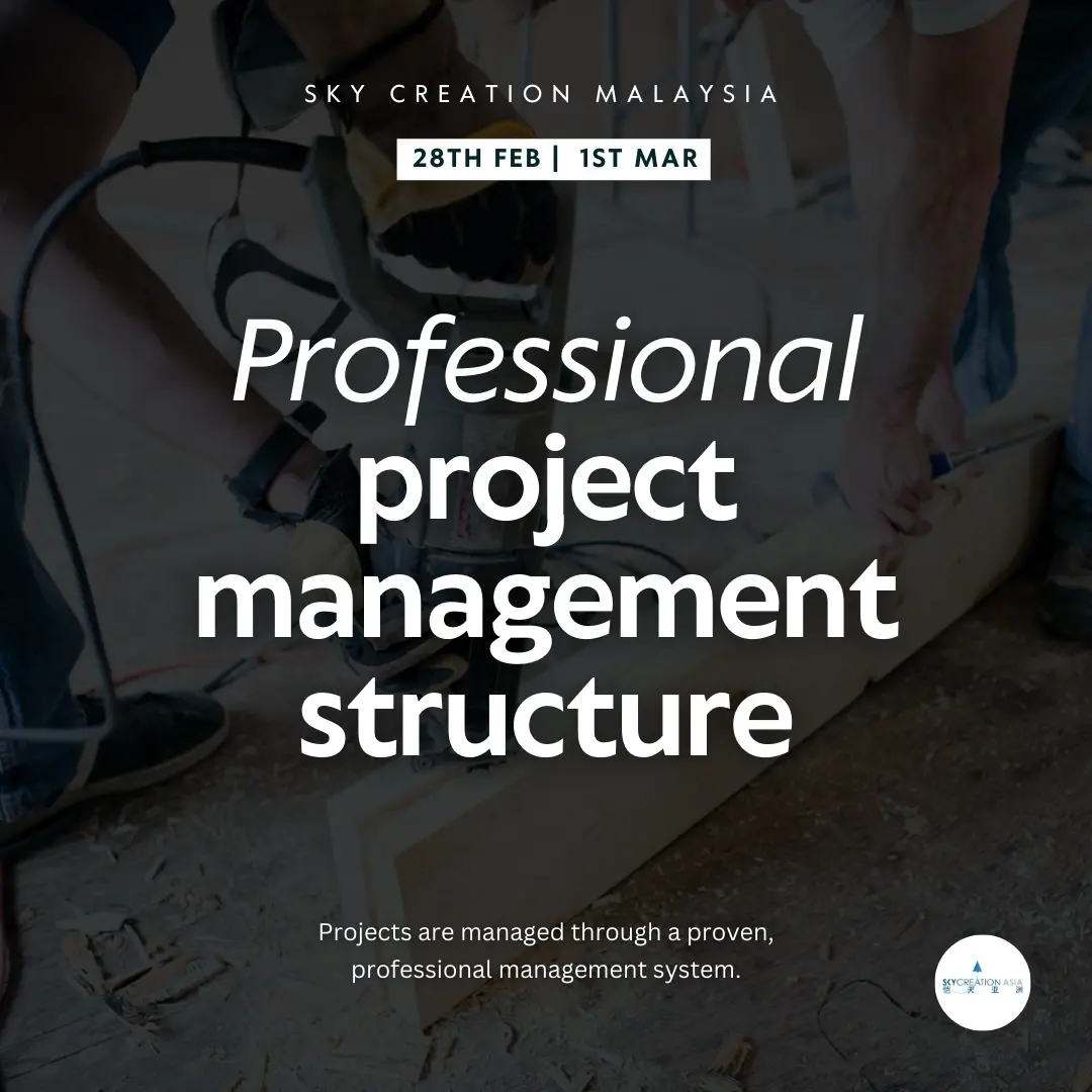 Professional project management system
