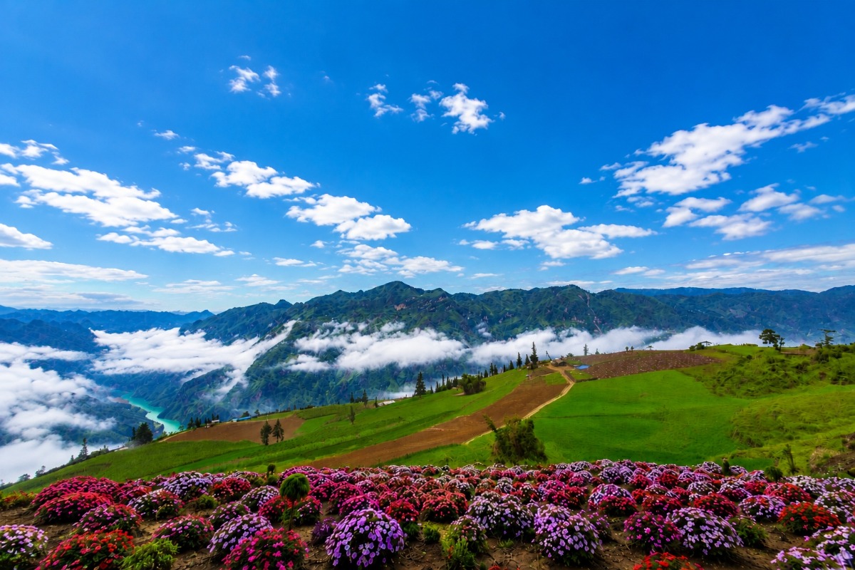 Suoi Thau Plateau