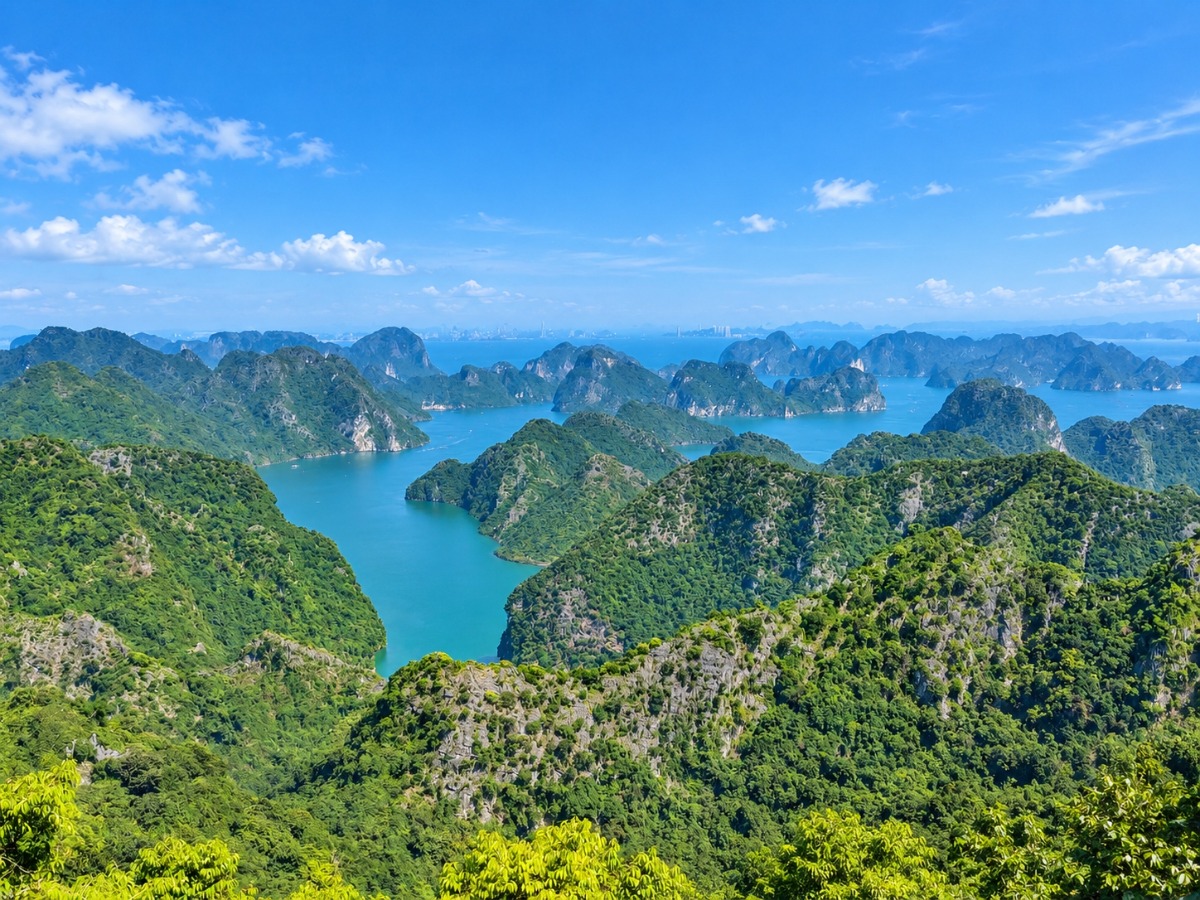 Cat Ba National Park