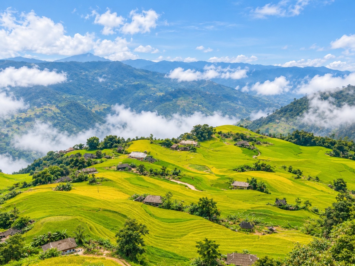 Ban Phung
