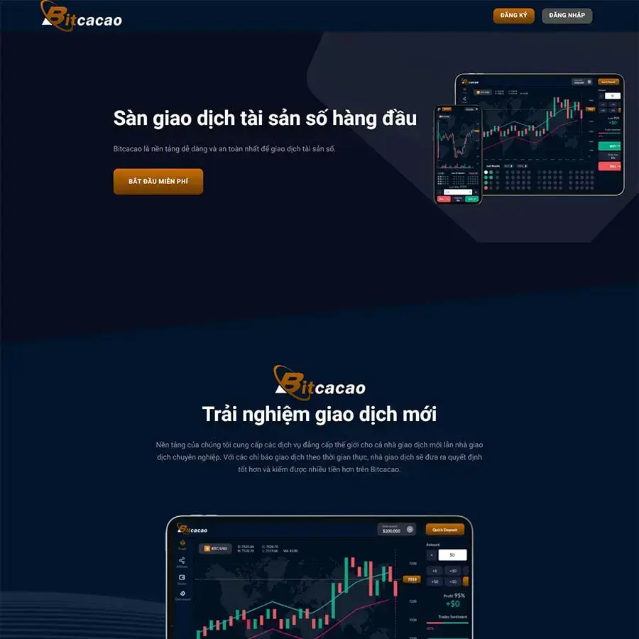 WordPress Theme Introducing BO Trading Platform