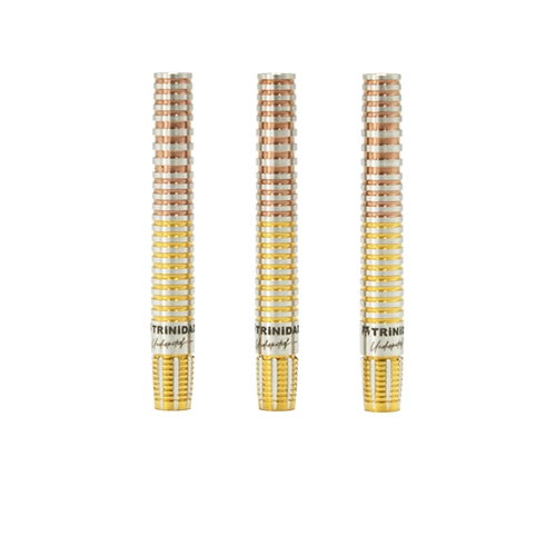 KID TYPE2 EVO Tomoya Goto: Evolution in Dart Design